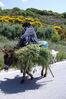 Onderweg op Lefkas